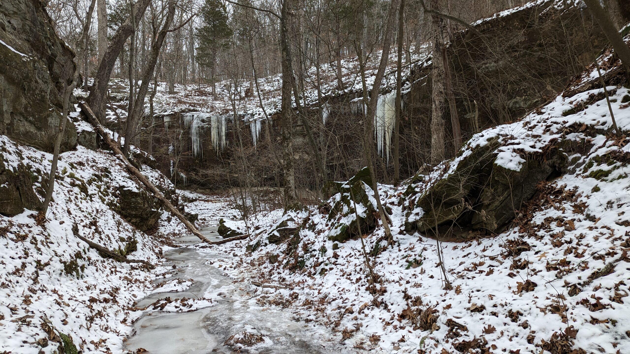 Icicles hang in the canyon at Don Robinson State Park