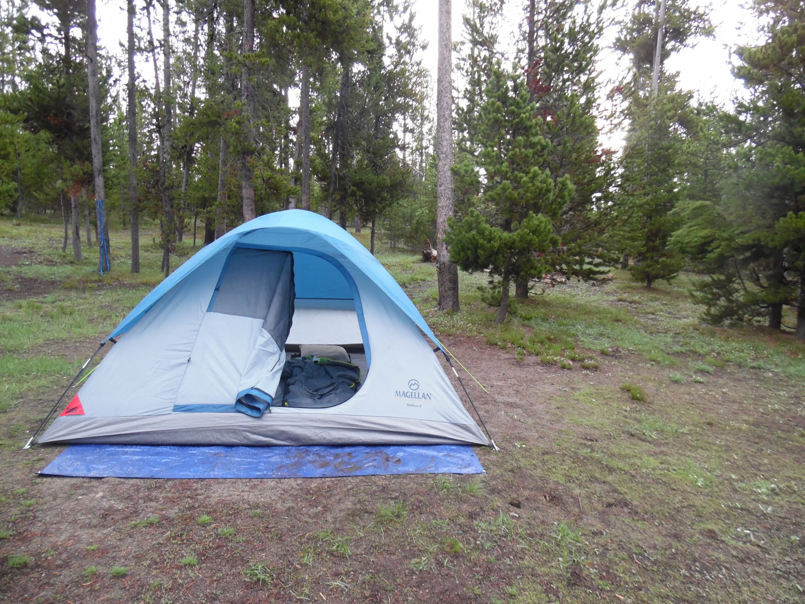 Tent camping at Norris Campground, Yellowstone