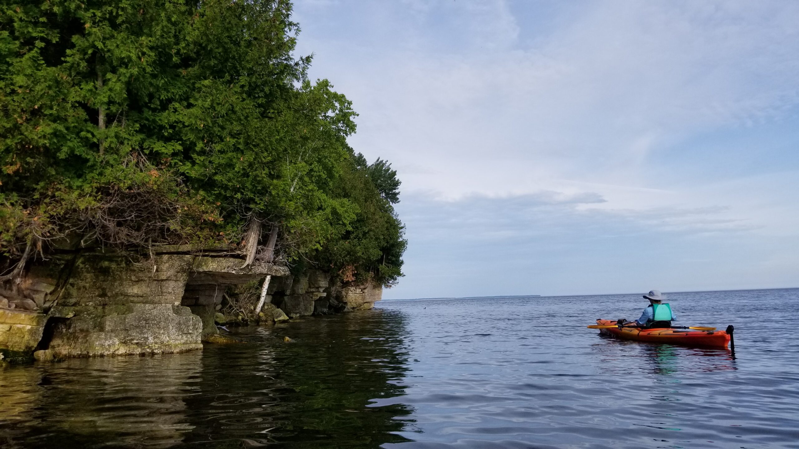 Kayaking next to a tree-covered cliff