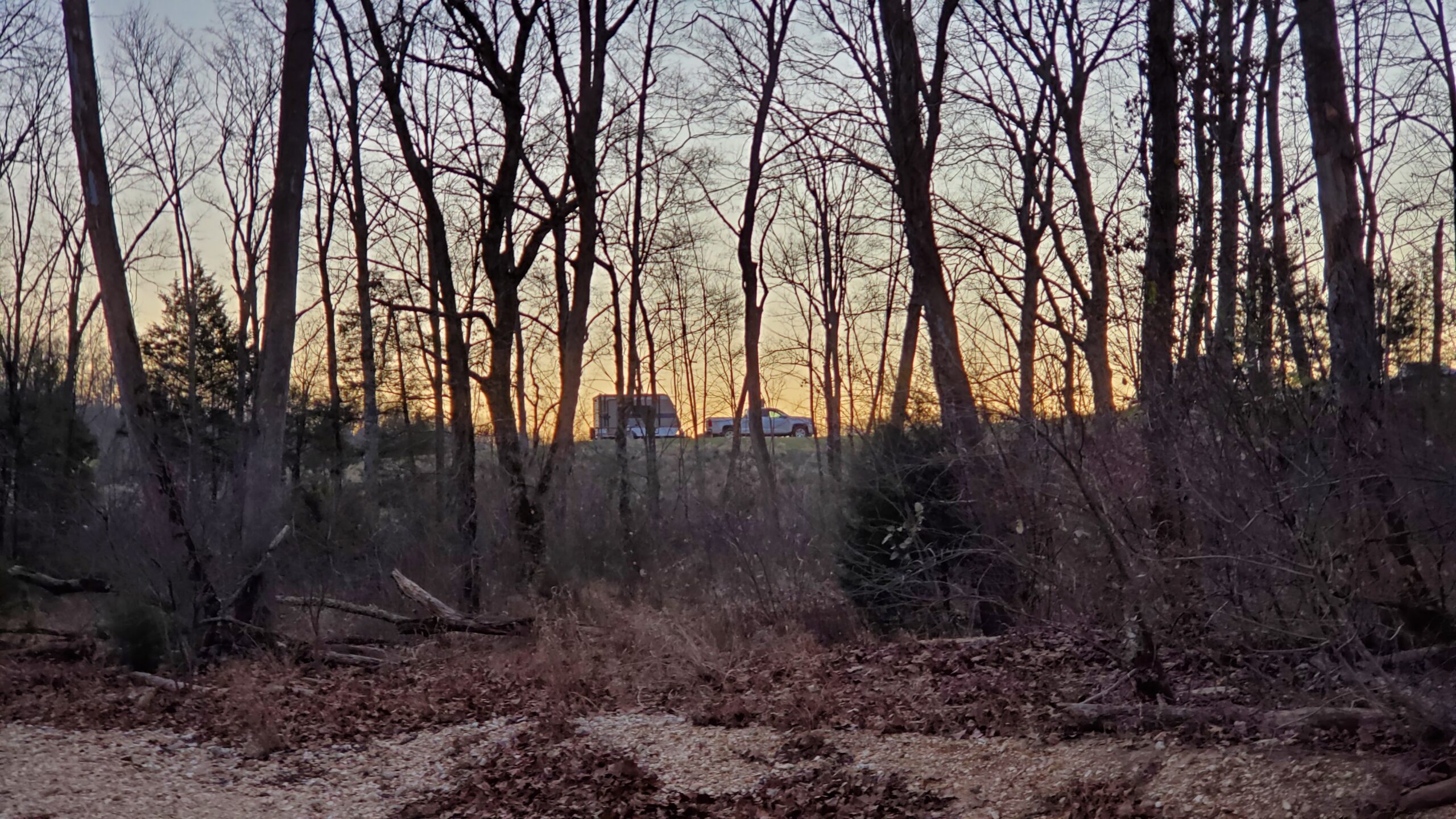 Campsite through the trees at Timbuktu Campground at sunset