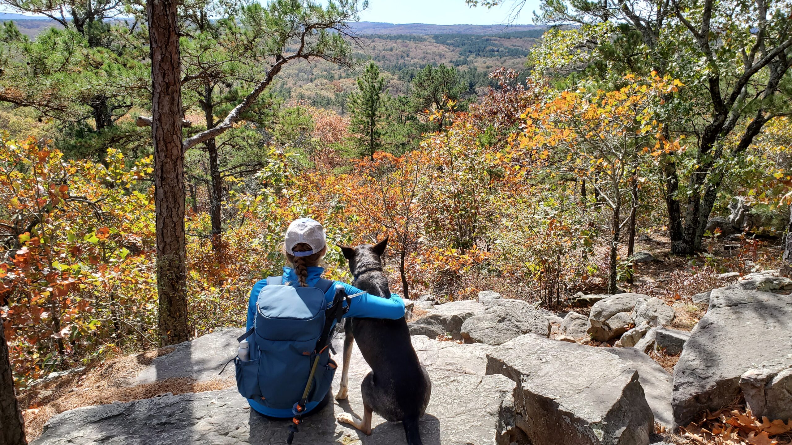 Travel Tips and Tricks: Outdoor Adventures with Dogs