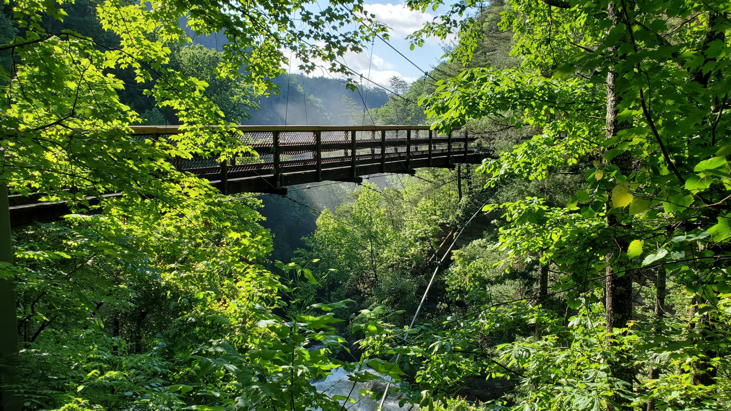 Suspension bridge over the river surrounded by greenery