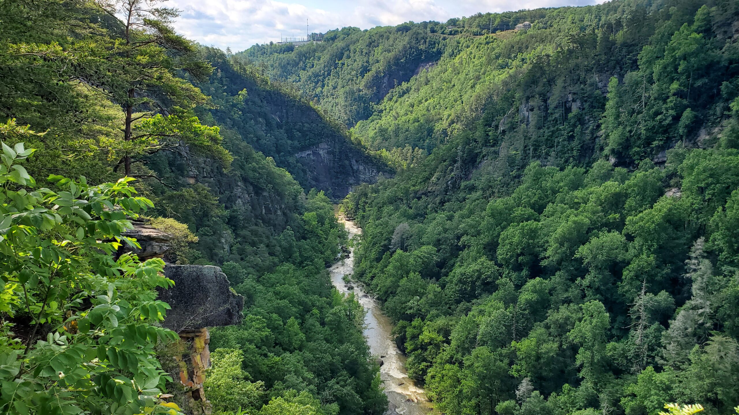 River running through a very green canyon