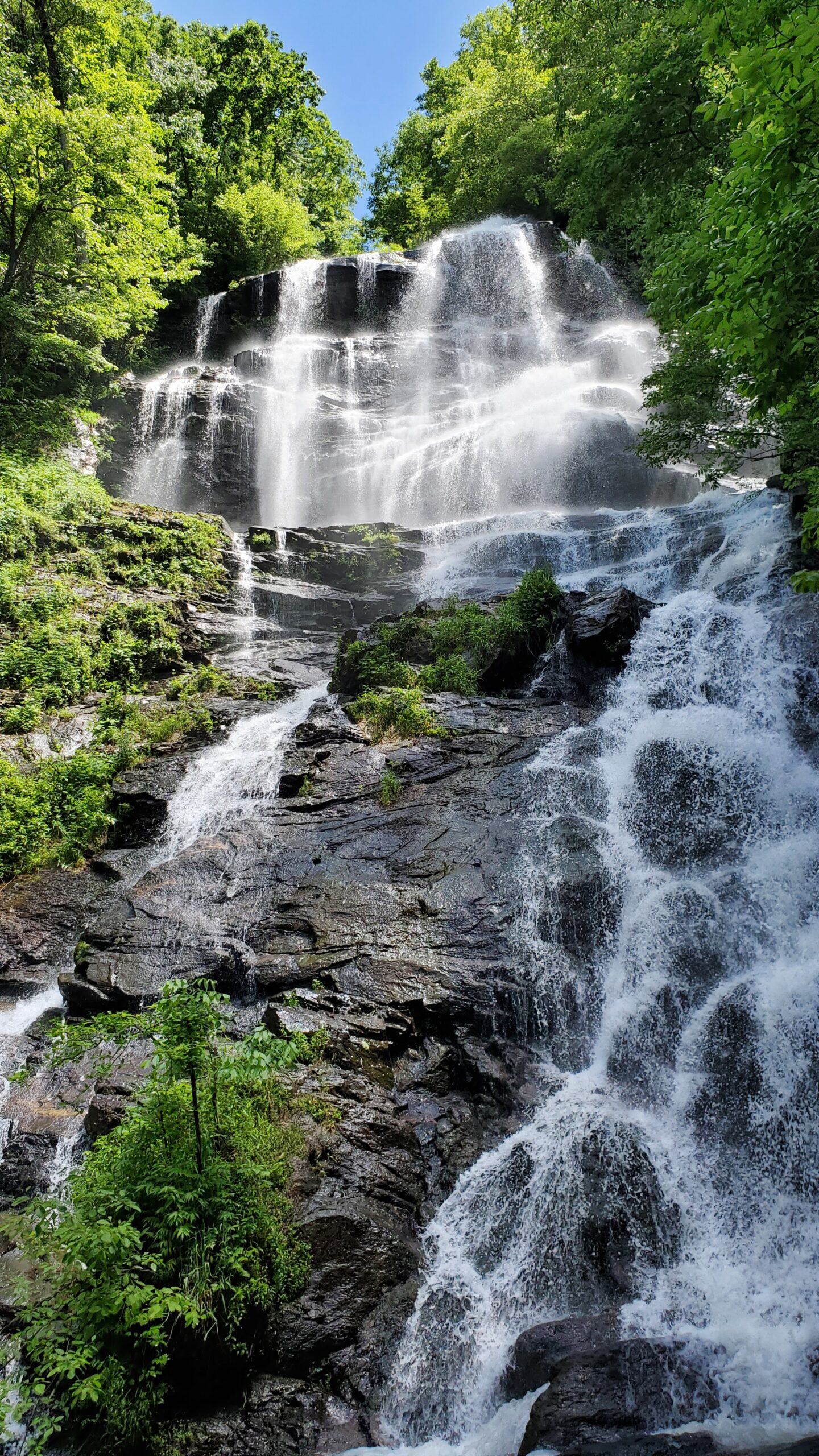 Amicalola Falls State Park and Springer Mountain