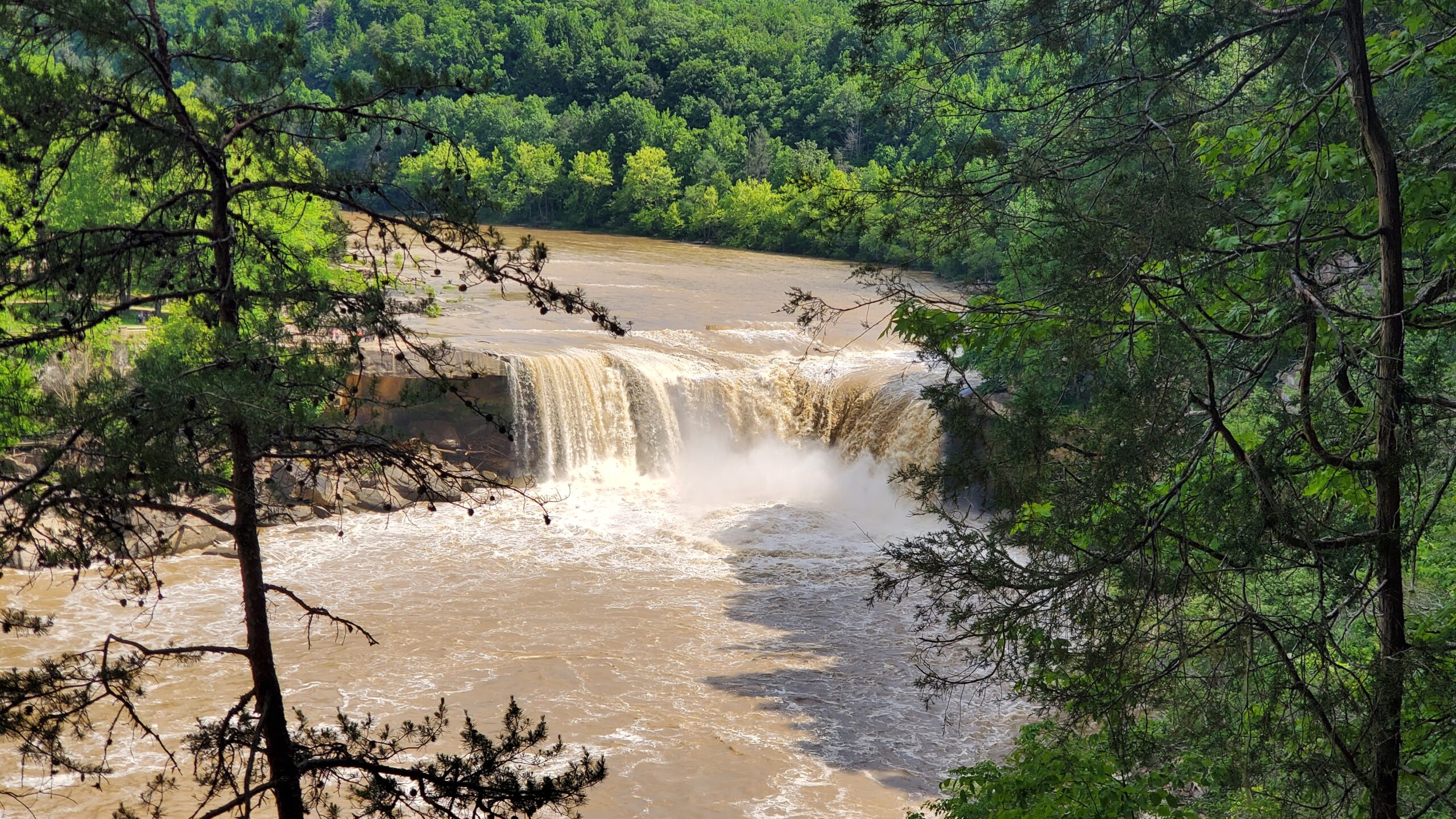 Wide waterfall from an overlook at Cumberland Falls State Resort Park