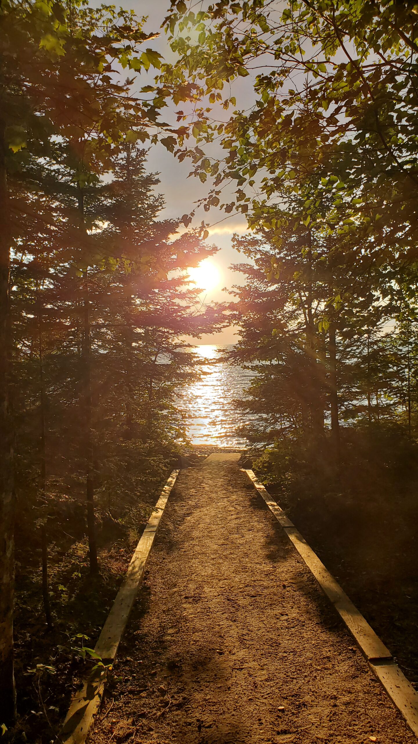 Sunset through the trees on Lake Superior