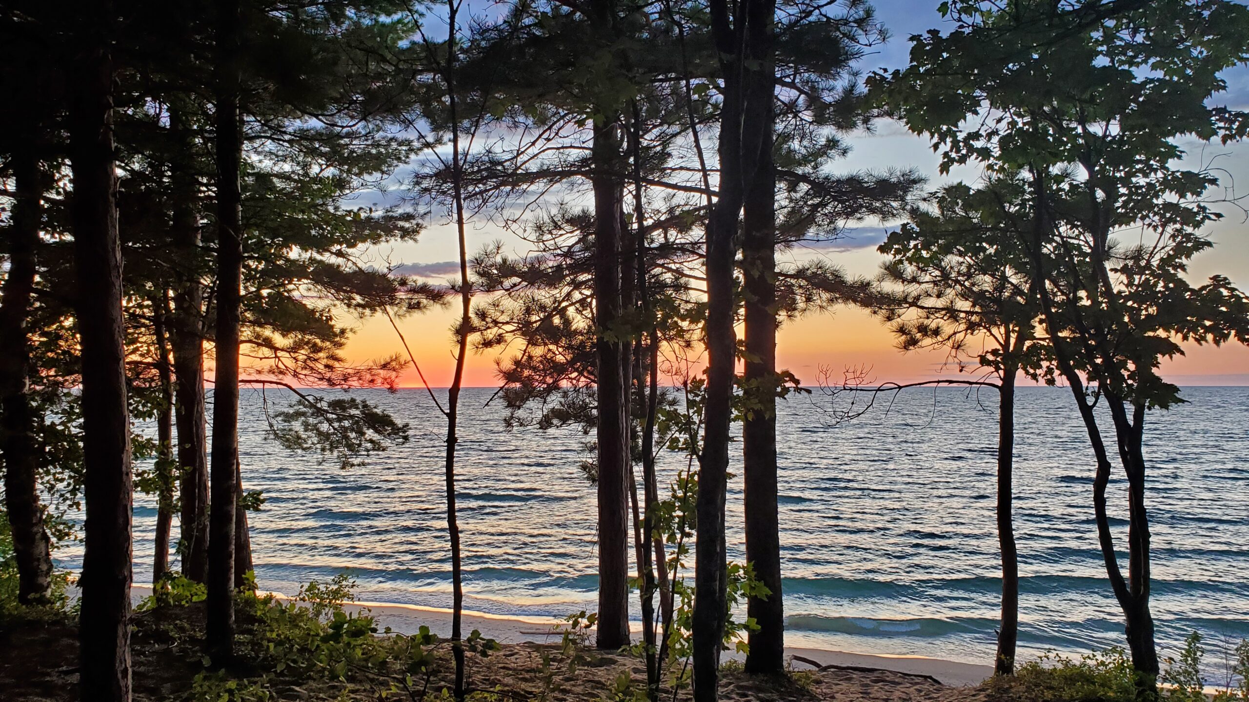 Sunset through the trees on Lake Superior