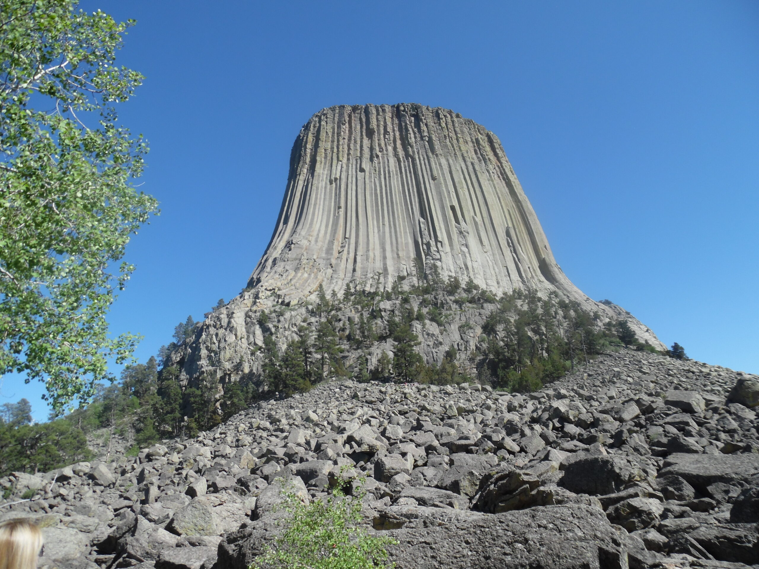 Devil's Tower (a large rocky column) stands tall with a boulder field in front