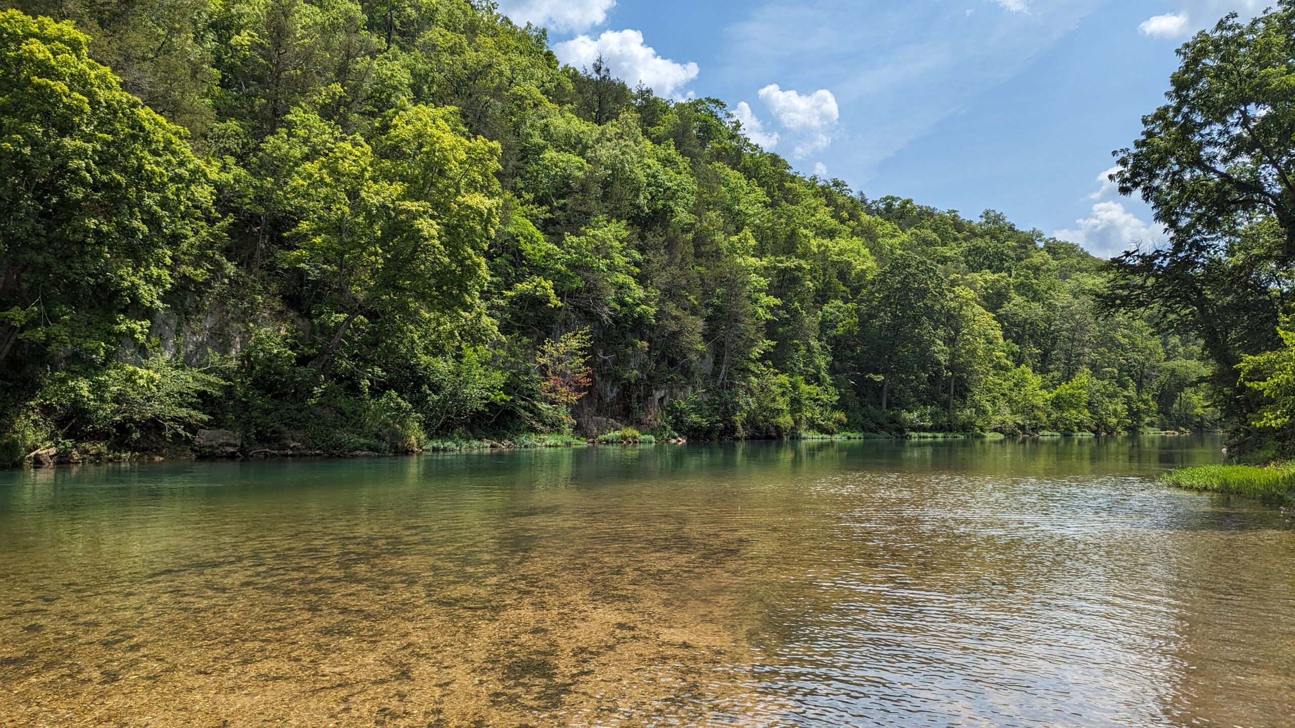 Clear water of the Current River surrounded by trees