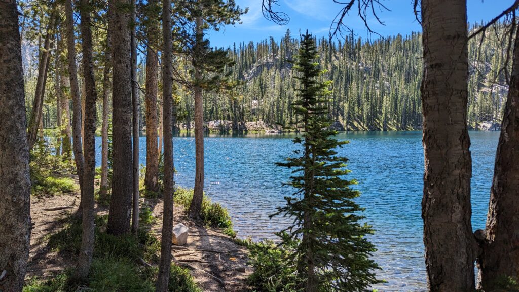 Blue mountain lake surrounded by pine trees