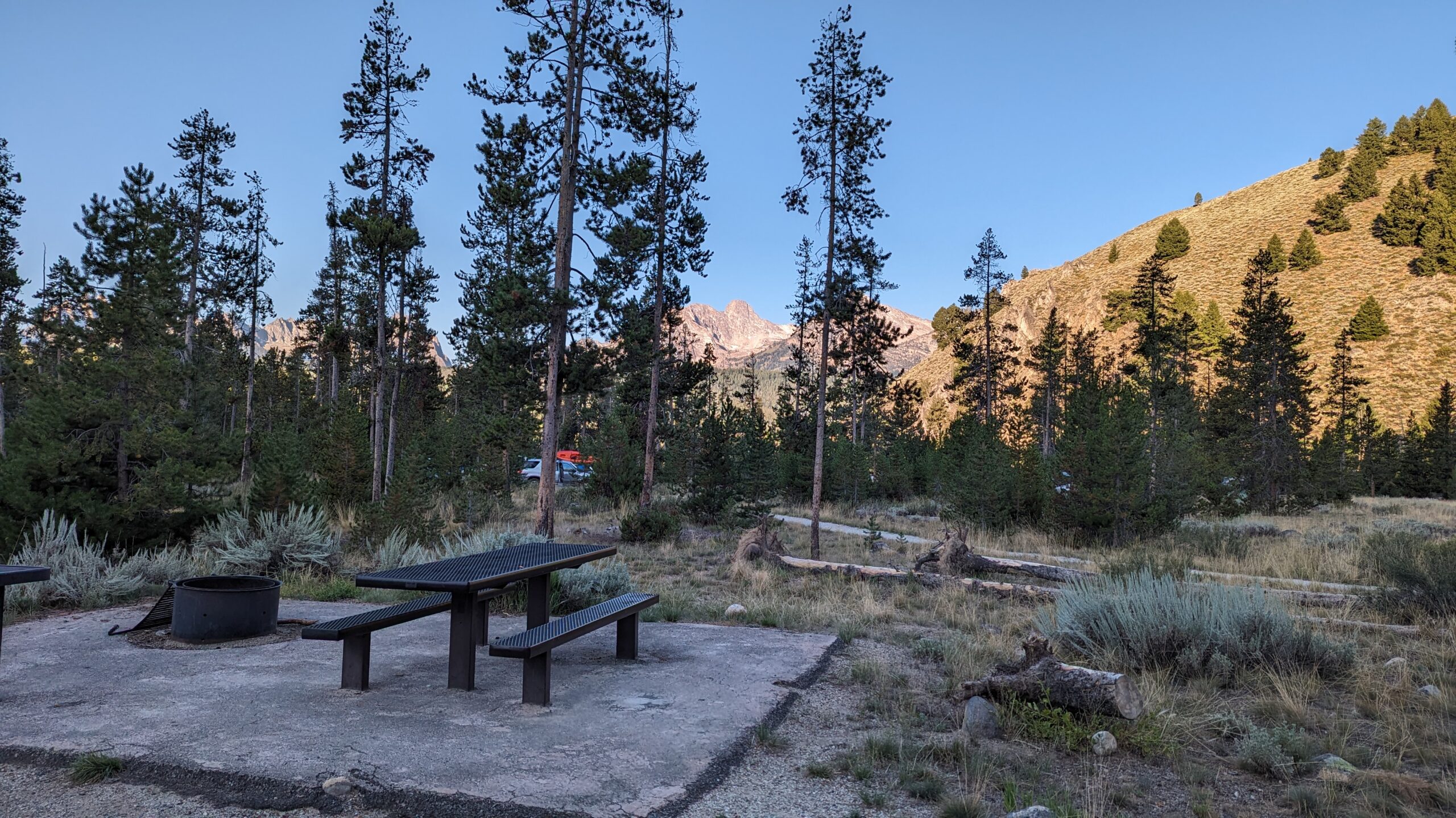 Campsite with pine trees and mountains in the background